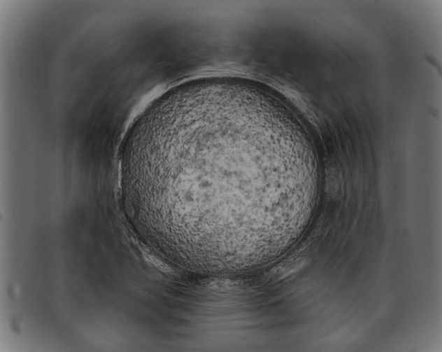 X0000097811366200803281048