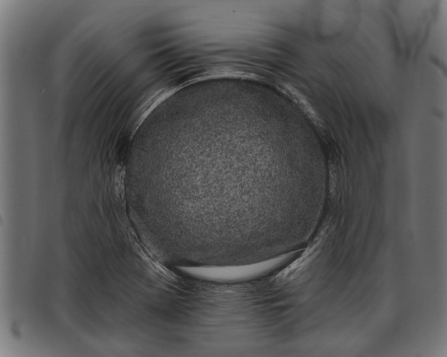 X0000097811369200803281048