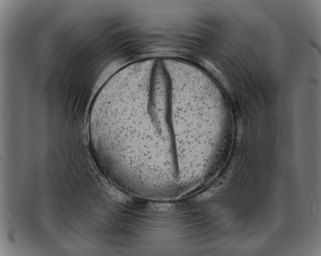 X0000097811370200803281048