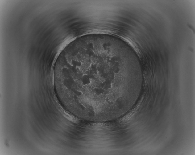 X0000097811371200803281048