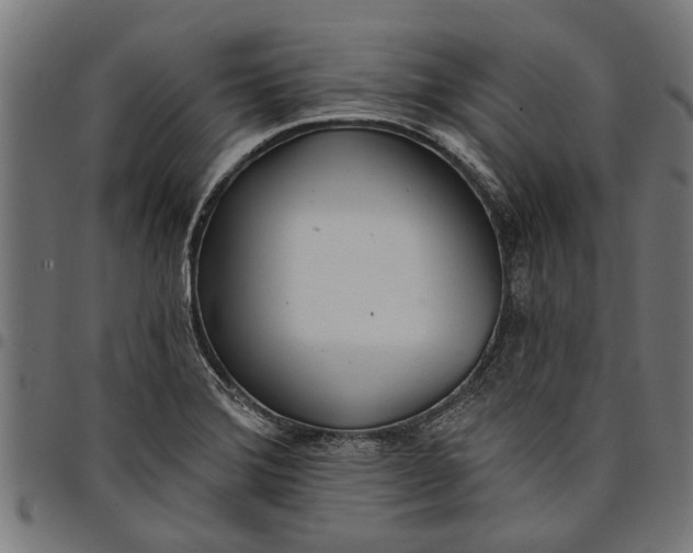 X0000097811372200803281048