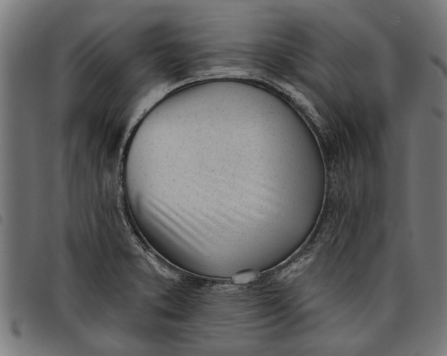 X0000097811373200803281048