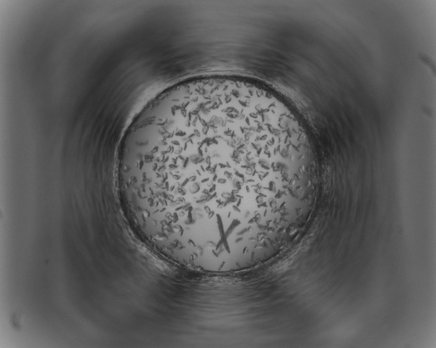 X0000097811374200803281048