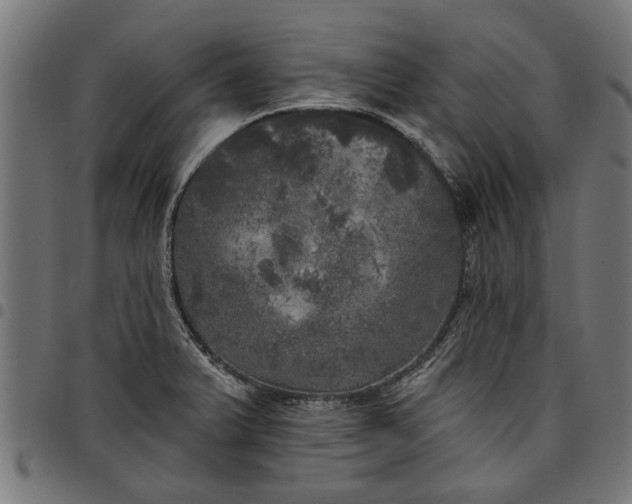 X0000097811375200803281048