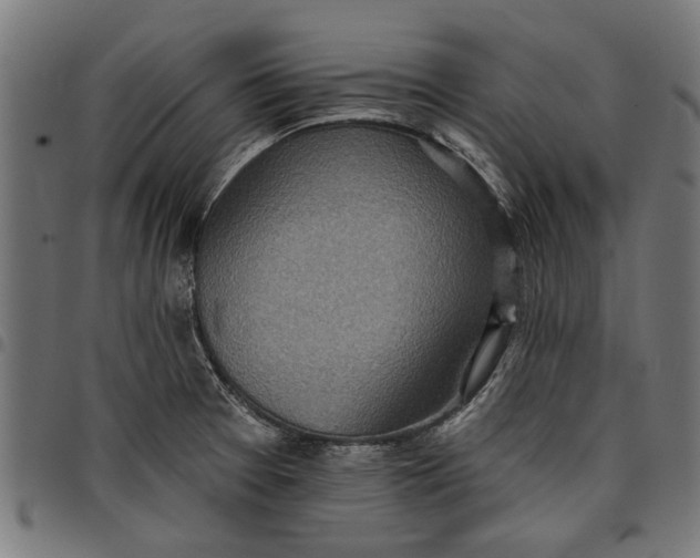 X0000097811377200803281048