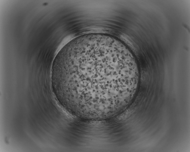 X0000097811378200803281048