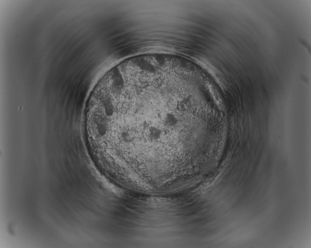 X0000097811379200803281048