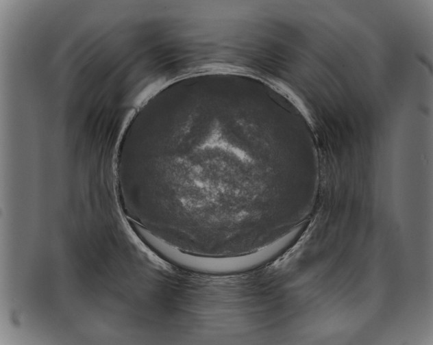 X0000097811381200803281048