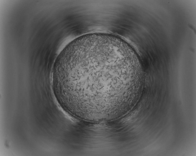 X0000097811383200803281048