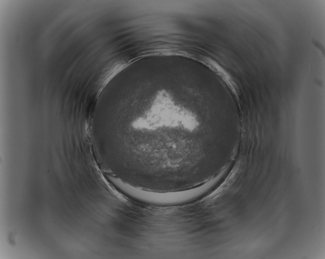 X0000097811385200803281048