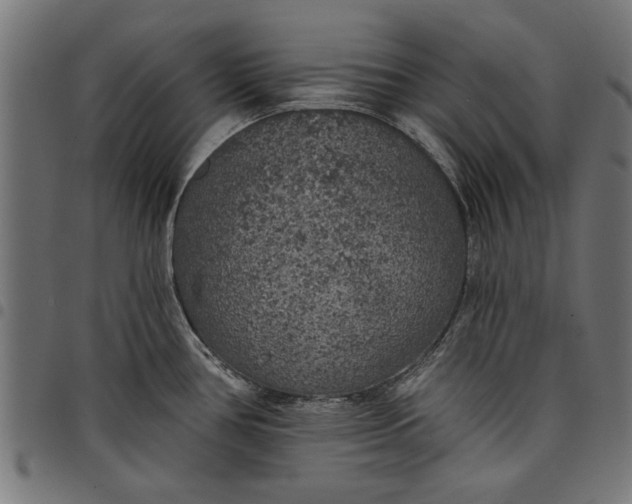 X0000097811386200803281048