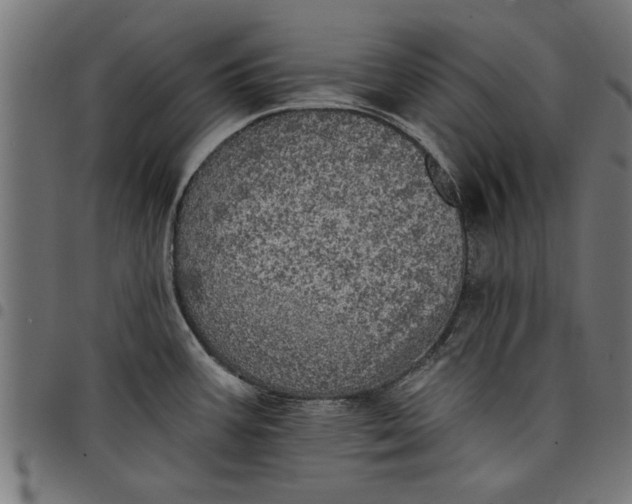 X0000097811387200803281048