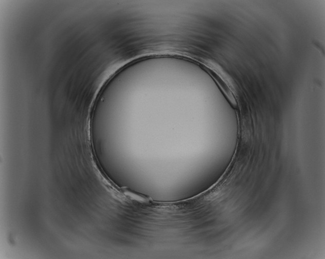 X0000097811388200803281048