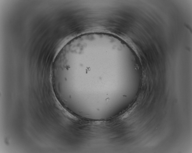 X0000097811390200803281048