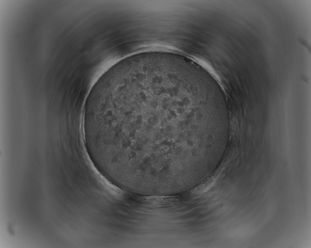 X0000097811391200803281048