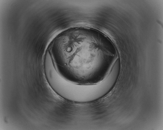 X0000097811392200803281048