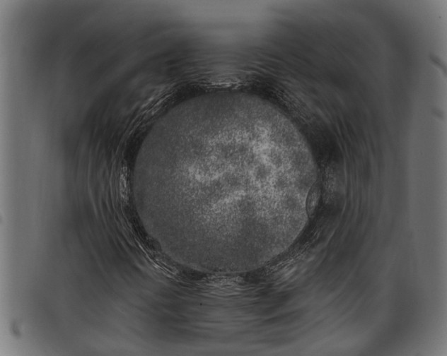 X0000097811394200803281047