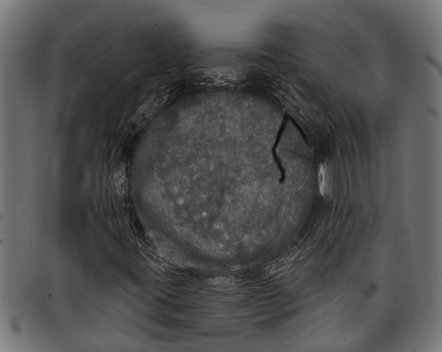 X0000097811395200803281047