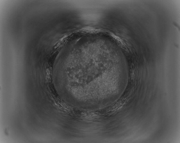 X0000097811397200803281047