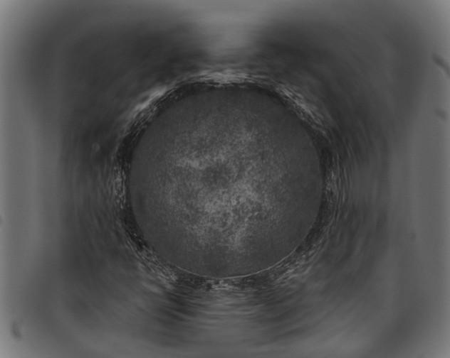 X0000097811398200803281047