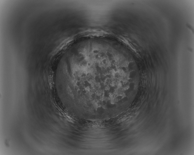 X0000097811399200803281047