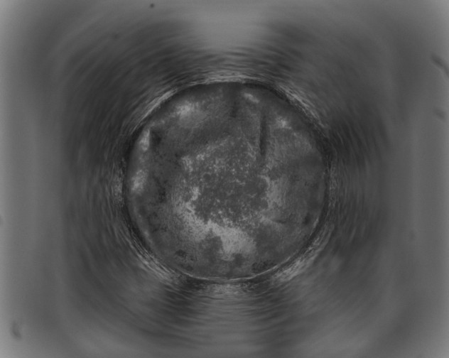 X0000097811401200803281047