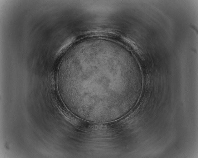 X0000097811403200803281047