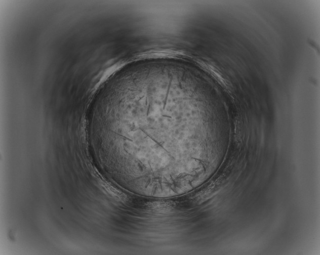 X0000097811404200803281047