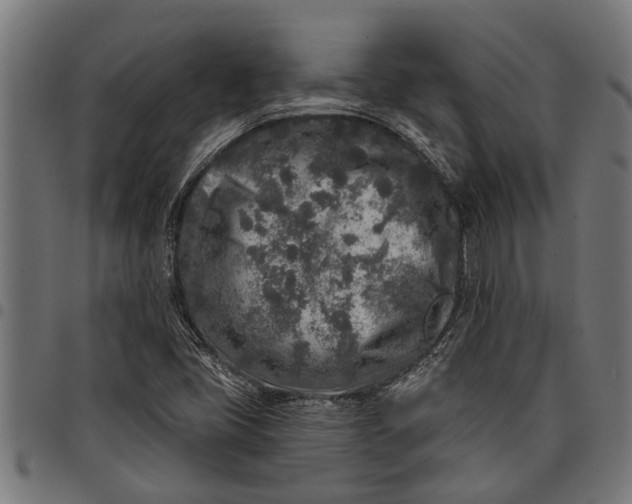 X0000097811405200803281047