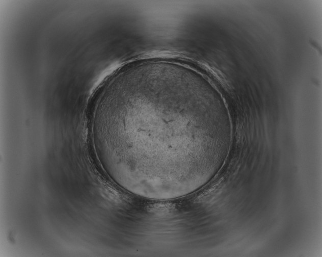 X0000097811406200803281047