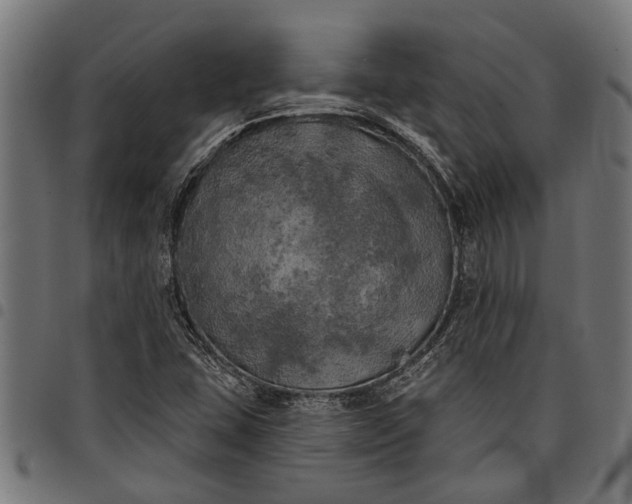 X0000097811407200803281047