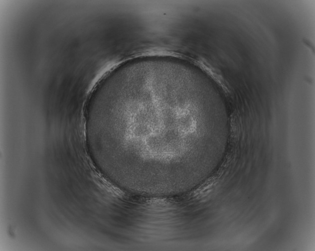 X0000097811408200803281047