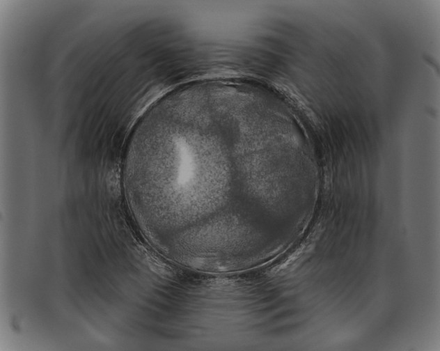 X0000097811409200803281047