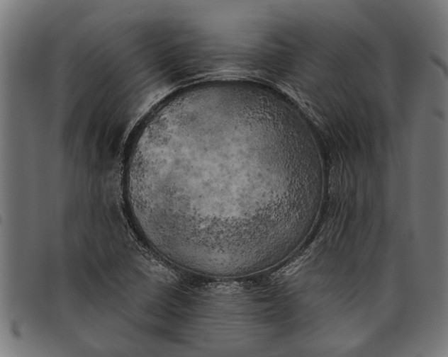 X0000097811410200803281047