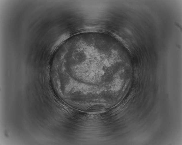 X0000097811411200803281047