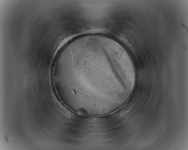 X0000097811412200803281047