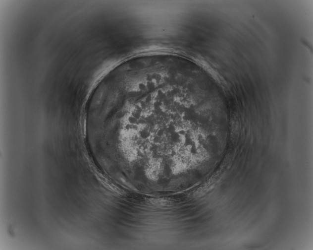 X0000097811413200803281047