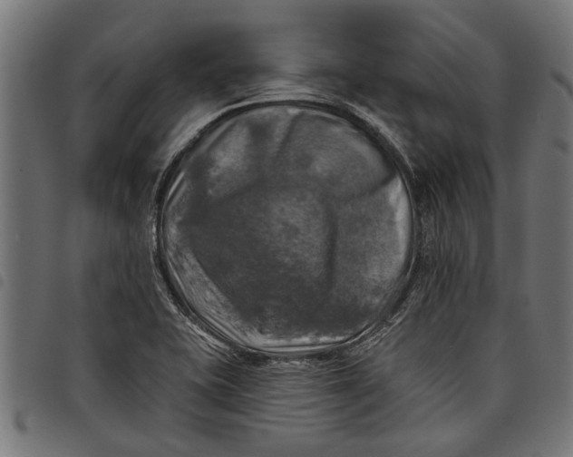 X0000097811415200803281047