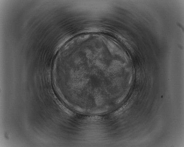 X0000097811417200803281047