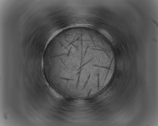 X0000097811420200803281047