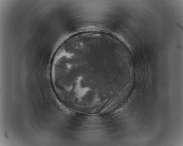 X0000097811421200803281047