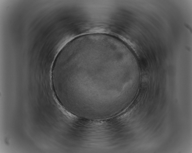 X0000097811423200803281047