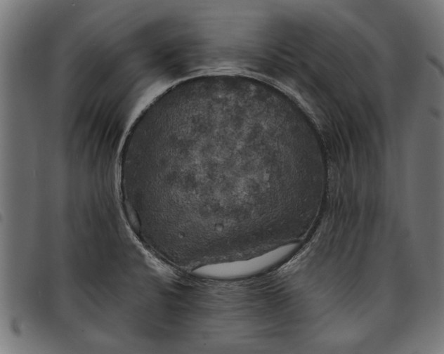 X0000097811424200803281047