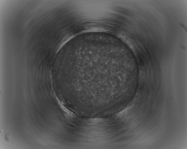 X0000097811425200803281047