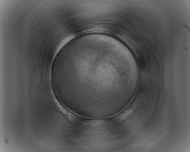 X0000097811426200803281047