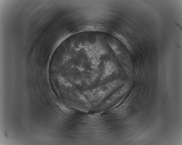 X0000097811427200803281047