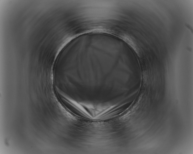 X0000097811428200803281048