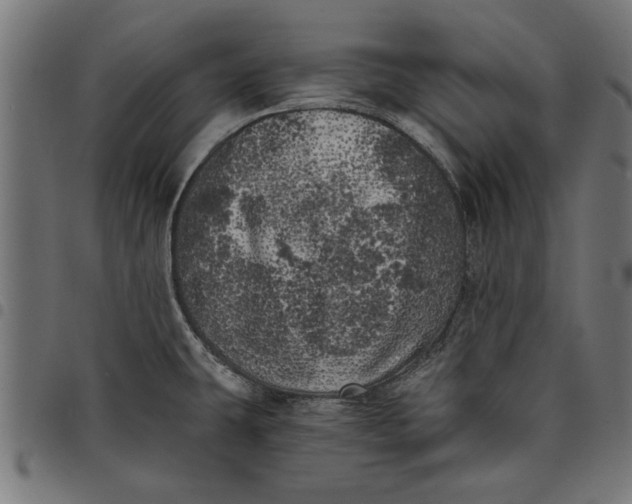 X0000097811431200803281048