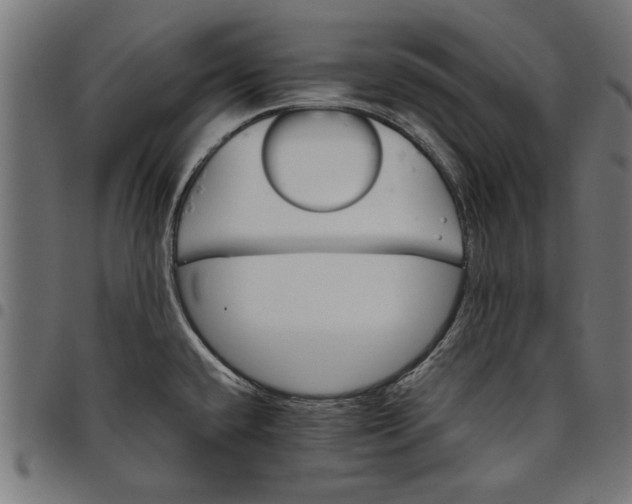 X0000097811432200803281048