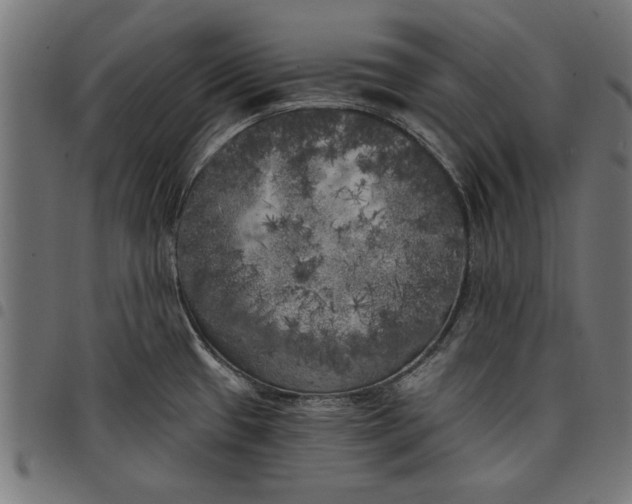 X0000097811433200803281048